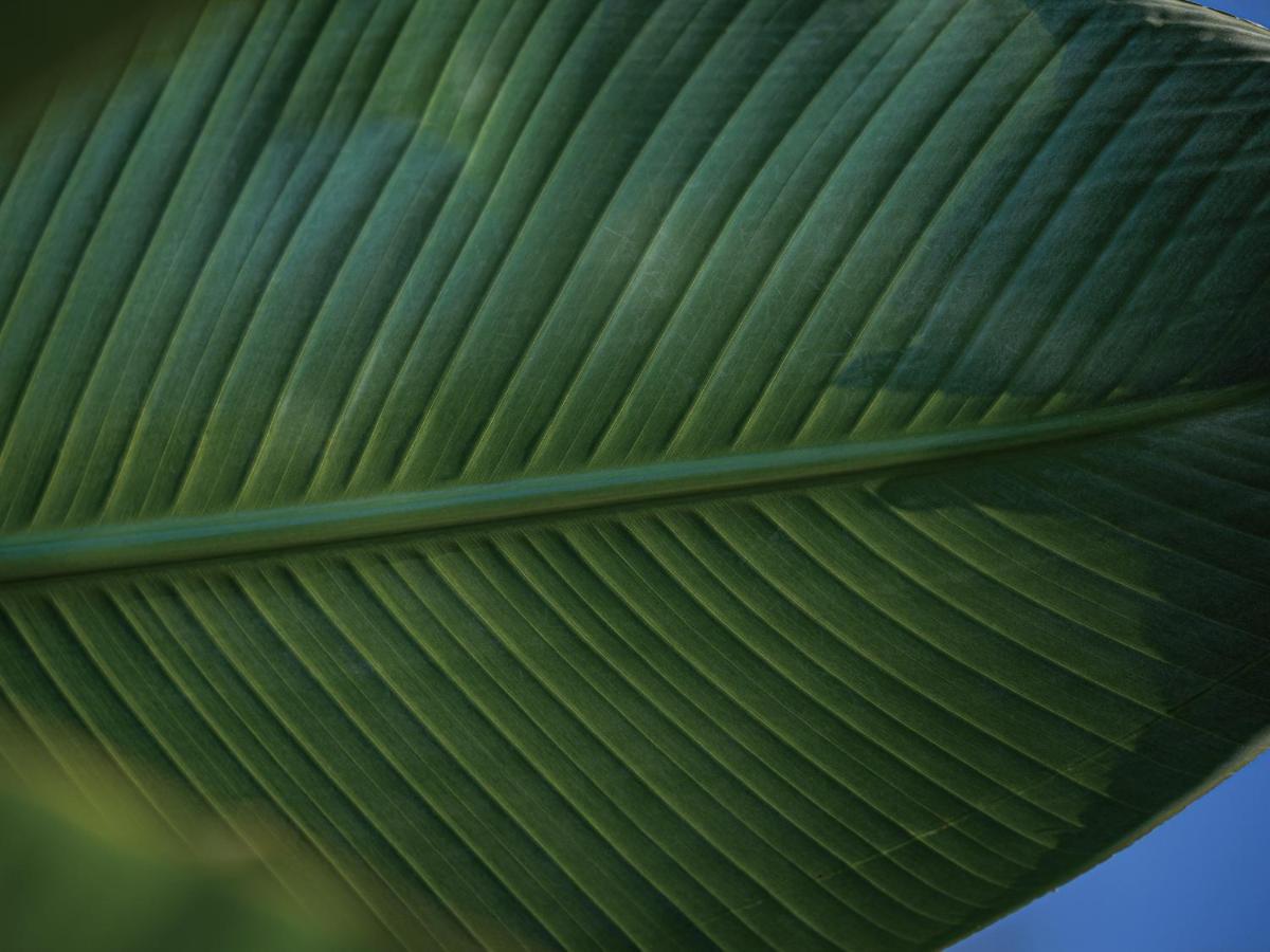 Homm Stay Yumiha Okinawa By Banyan Tree Group Onna Exterior photo